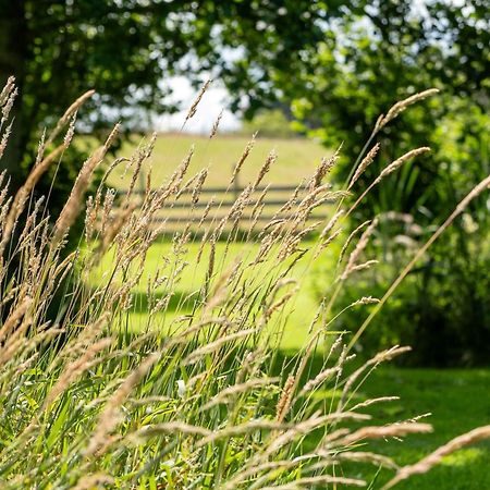 Marcassie Farm Lodges - Willow Studio Forres Exteriör bild