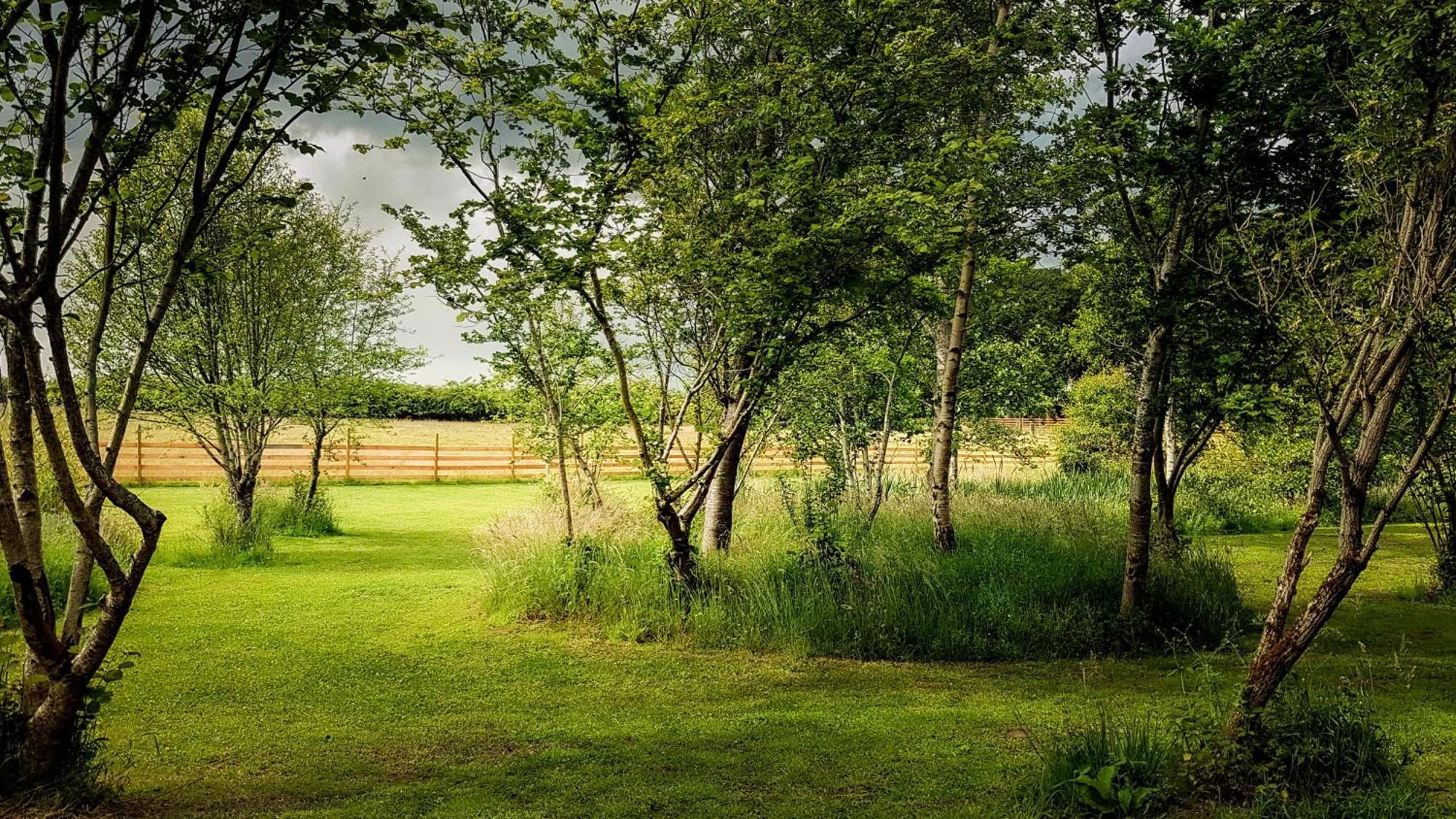 Marcassie Farm Lodges - Willow Studio Forres Exteriör bild