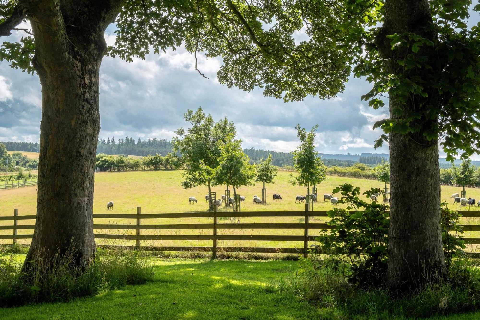 Marcassie Farm Lodges - Willow Studio Forres Exteriör bild