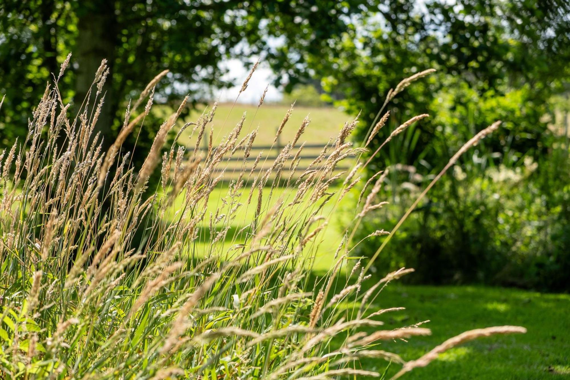 Marcassie Farm Lodges - Willow Studio Forres Exteriör bild